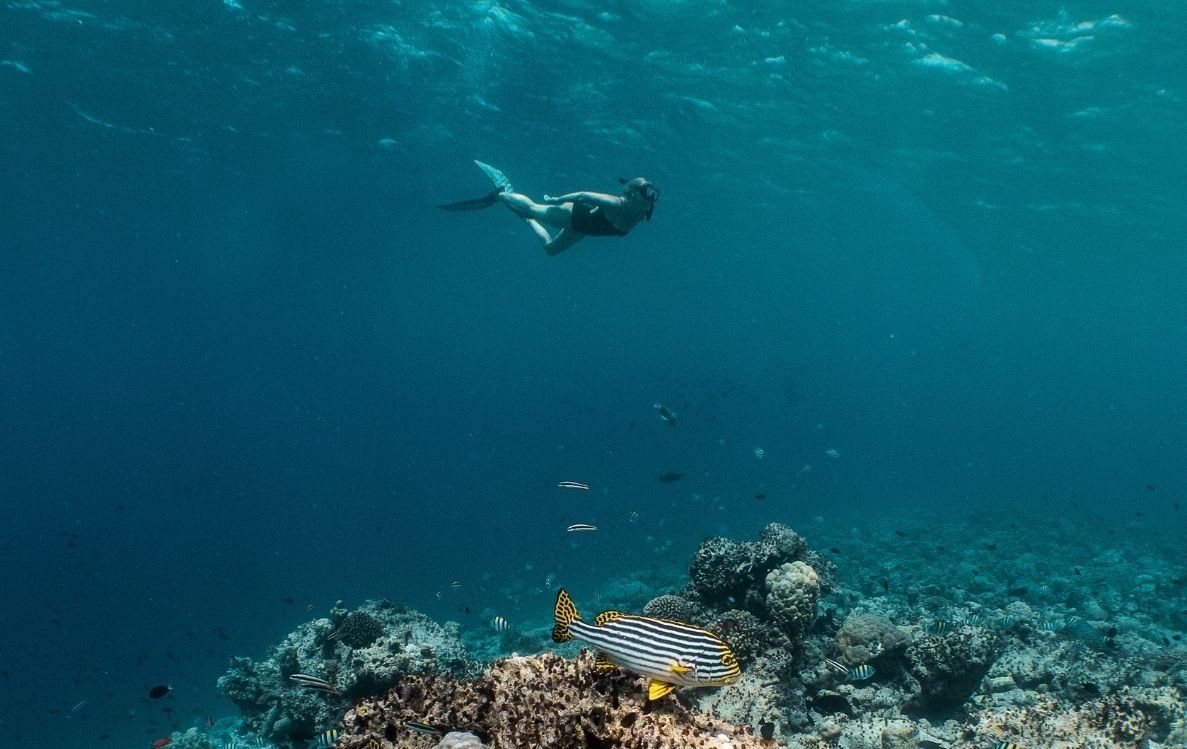 Diving and Snorkelling