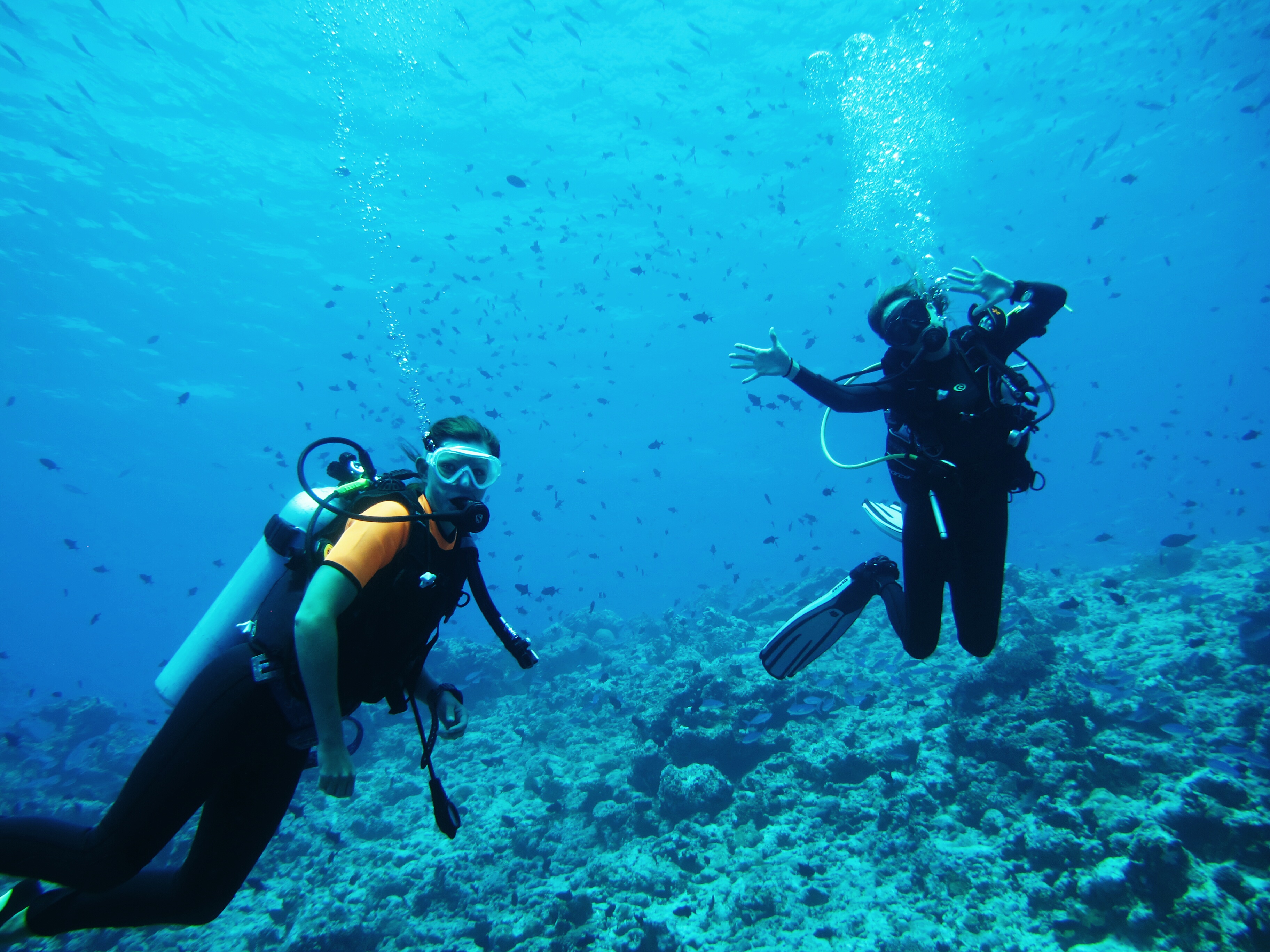 Diving